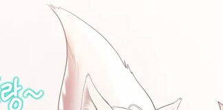 Sorcellerie: Un Harem de Yokai Sorcery Tales Yokai harem VF