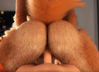 Un Noël canin Un cadeau canin