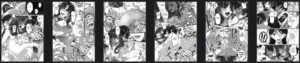 Hentai FR banner Tsujou Kougeki ga Zentai Kougeki de 2-kai Kougeki no Okaasan wa Suki desu ka