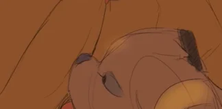 Comment dresser son Noctali Noctali Hentai furry